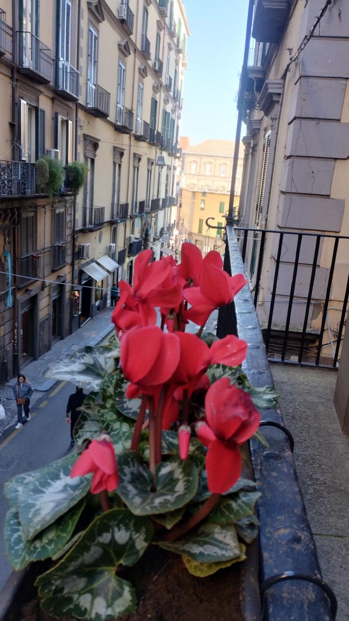 Plebiscito Suite Apartment Napoli Eksteriør bilde